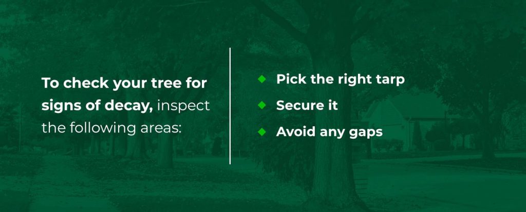 הסיפון הטוב ביותר למזג אוויר חורפי