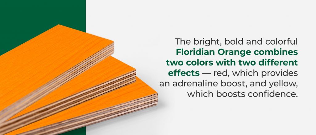 כיצד להחליט באילו לוחות דק צבעוניים לבחור